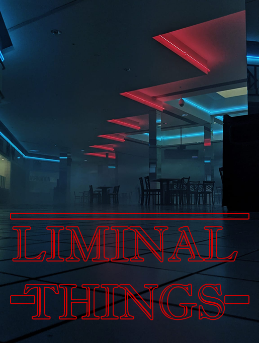 The meme is a photo of a dimly lit, empty restaurant or bar with a few tables and chairs in the background. The text "LIMINAL" is written in a bold, neon-like font across the top of the image, with the word "THINGS" written in a similar font but in a smaller size at the bottom. The overall tone is one of eeriness and abandonment, suggesting a place that's been left to decay.